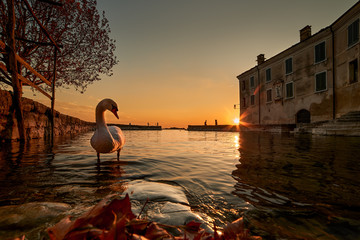 Punta San Vigilio © Jorg