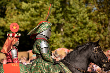 Ritter auf Pferd 4