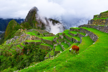 Machu Picchu, Cusco,Peru: Overview of the lost inca city Machu Picchu with Wayna Picchu peak - obrazy, fototapety, plakaty