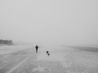 Runner and dogs in the fog.
