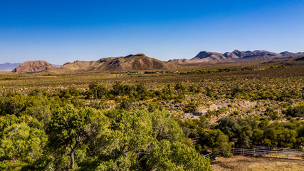 Beautiful view of famous Spring Mountain Ranch State Park near Las Vegas and Red Rock Canyon, Nevada during autumn with pink and red rock mountains, blue sky, green trees and grass, and purple hills