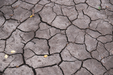 Details of brown soil showing signs of extreme drought such as cracks