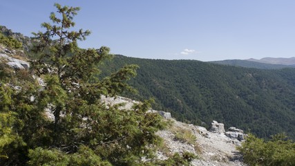 amazing landscape at lake kozjak in macedonia