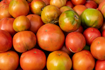 Tomatoes in the local organic products market, León, Spain