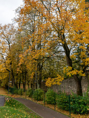 Naklejka premium autumn landscape with beautiful and colorful trees, road, cloudy autumn day