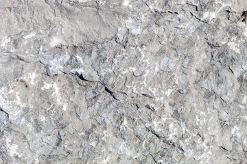 Close Up Weathered Grayish Natural Stone Texture