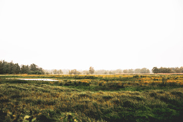 Foggy field in cloudy weather. Autumn colors, white sky, relaxation and merging with nature