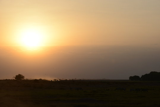 Kenya & Tanzania © Ernesto