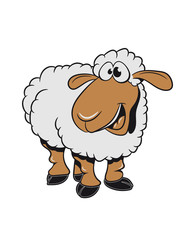 Schaf verrückt Weide fressen doof gras Herde süß lieb Wolle Nutztier grasen witzig 3c