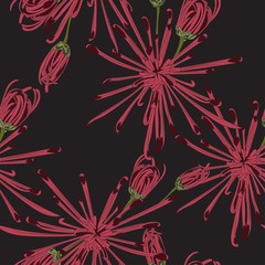 Seamless flower pattern for fabric design. Floral line red exotic chrysanthemum flowers illustration. Black background.