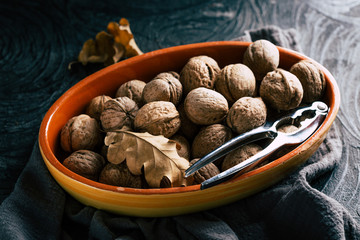 Autumn concept, walnut on a dark background