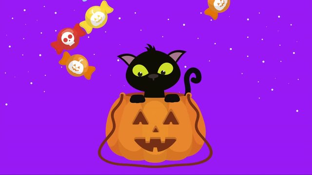 halloween dark scene with cat and candies in pumpkin