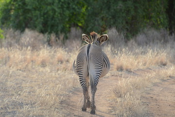 Kenya & Tanzania