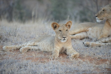 Kenya & Tanzania