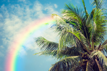 Fototapeta na wymiar Coconut tree and blue sky with rainbow