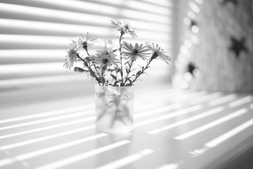 small bouquet of chrysanthemums on the windowsill, bw