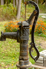 A lit source of water by the road in the forest.