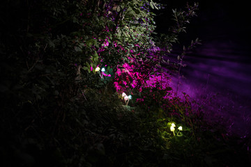 Fantasy glowing mushrooms in mystery dark forest close-up. Beautiful macro shot of magic mushroom...