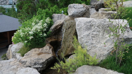 Japanese garden