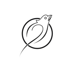 Abstract Bird Logo design vector template