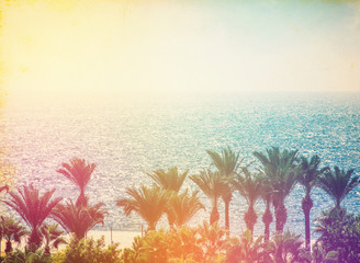 Obraz premium Palm trees at tropical coast, vintage toned and film stylized