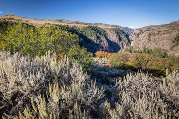 fall mountain landscapes of Colorado