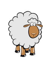 Fototapeta premium Schaf gucken unsicher Weide fressen doof gras Herde süß lieb Wolle Nutztier grasen witzig 3c