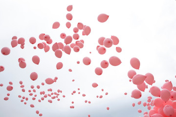 Pink balloons breast cancer