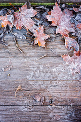 autumn leaves on wooden background