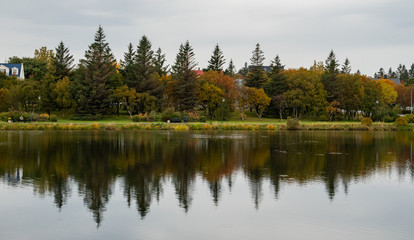 Fototapeta na wymiar Autumn tree reflection in the lake in a park in Reykjavik Iceland