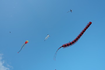 Kite flying enjoyed at Waitan or Bund in Shanghai in the morning