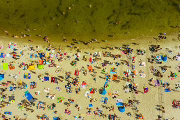 Top view of a sandy beach filled with people. Crowds of people swim and sunbathe on the Baltic Sea...