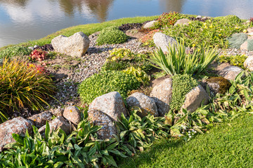 Fototapeta na wymiar Natural flower landscaping and pond
