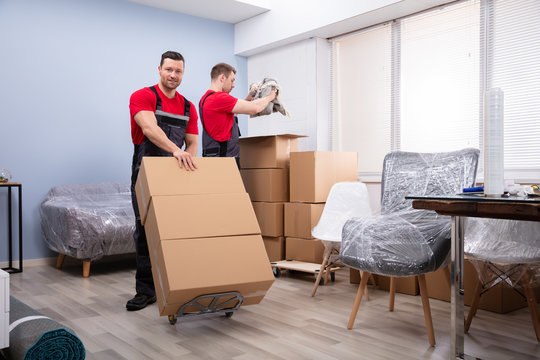 3,370 BEST Packers And Movers IMAGES, STOCK PHOTOS & VECTORS | Adobe Stock