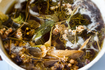 Herbs and spices boiling in water.  Thyme, linden, mint ...