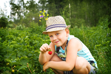 A smiling boy in a sunny, green strawberry field