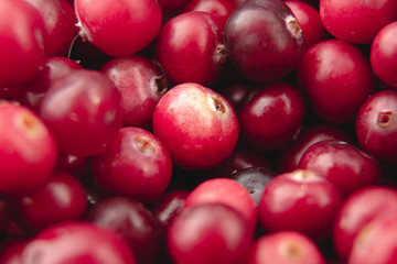 Cranberries / Surface of ripe red cranberries/ Close up