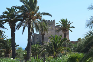Fototapeta na wymiar Medieval castle in Italy,Sicily. Tropical background. 