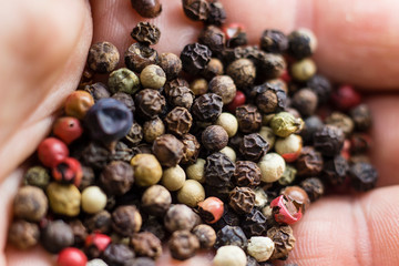 peppercorns on in palm of the hand