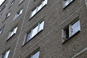 multi-storey house with a cat in the window