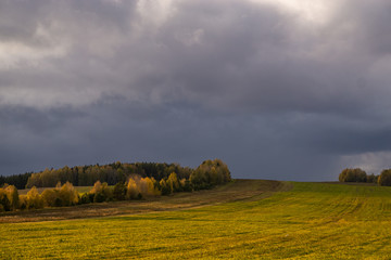 Obraz premium Green field and cloudy sky, autumn trees