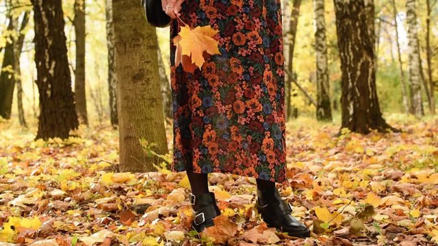 Unrecognizable woman in dress standing in autumn park and holding colorful maple leaves. Fall season