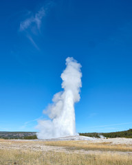Fototapeta na wymiar old faithful geyser in yellowstone national park
