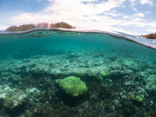 adventures in the Coral Reef of Playa La Entrega in Huatulco Mexico