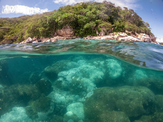 Fototapeta na wymiar adventures in the Coral Reef of Playa La Entrega in Huatulco Mexico