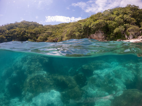 adventures in the Coral Reef of Playa La Entrega in Huatulco Mexico