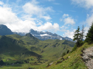 Fototapeta na wymiar Blick auf Tal mit Bergen im Hintergrund- Adelboden, Berner Oberland - Schweiz