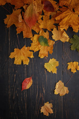 Thanksgiving composition of dry autumn leaves and pumpkins on a black wooden background.