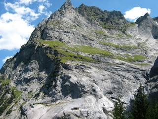 Oberer Grindelwald Gletscher mit Hehlischopf- Grindelwald - Kanton Wallis - Schweiz