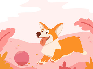 Funny little corgi walking in park.